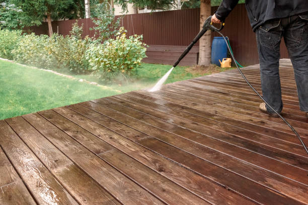 Best Soft Washing  in West Branch, MI